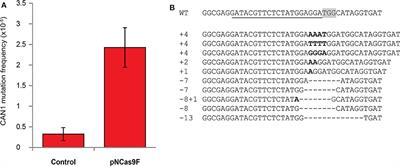 CRISPR/Cas9 Mutagenesis by Translocation of Cas9 Protein Into Plant Cells via the Agrobacterium Type IV Secretion System